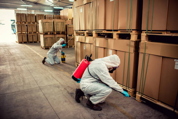 Best Affordable Pest Control Services  in Waldron, AR