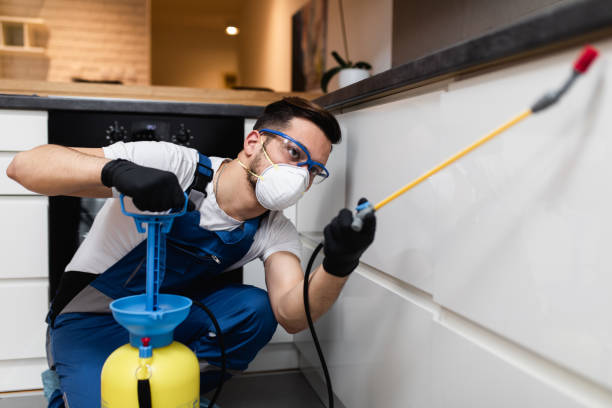 Best Pest Control Treatment  in Waldron, AR