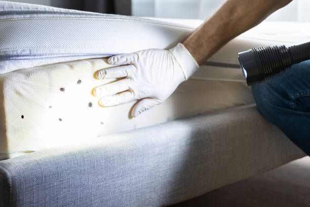 Best Residential Pest Control  in Waldron, AR