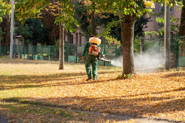 Best Emergency Pest Control  in Waldron, AR