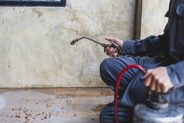 Best Wasp Removal Services  in Waldron, AR